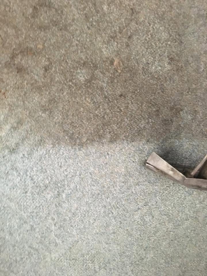 Freshly cleaned carpet in a New Smyrna Beach living room