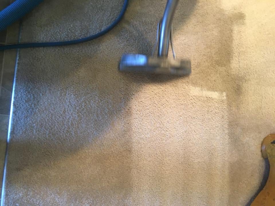 Professional hot water extraction carpet cleaning