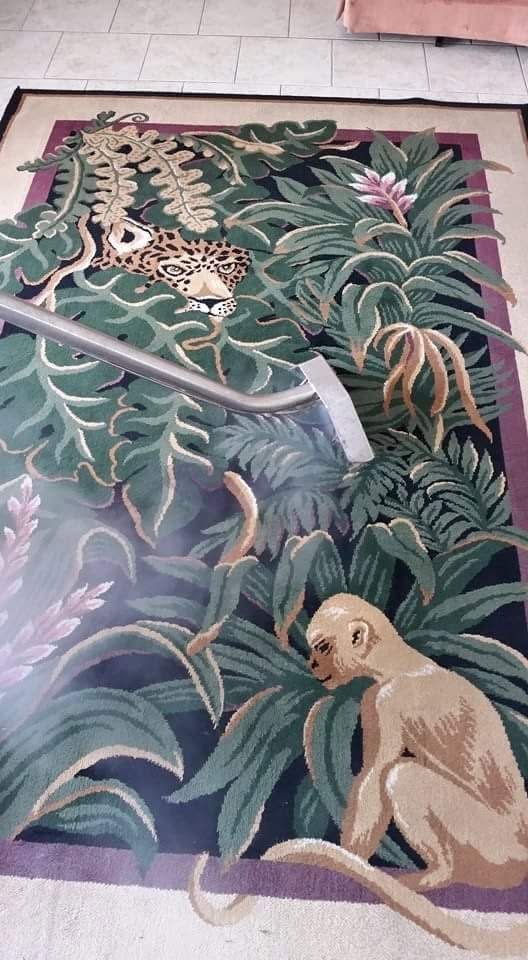 Hand-tufted tapestry rug with leopard and monkey design professionally cleaned
