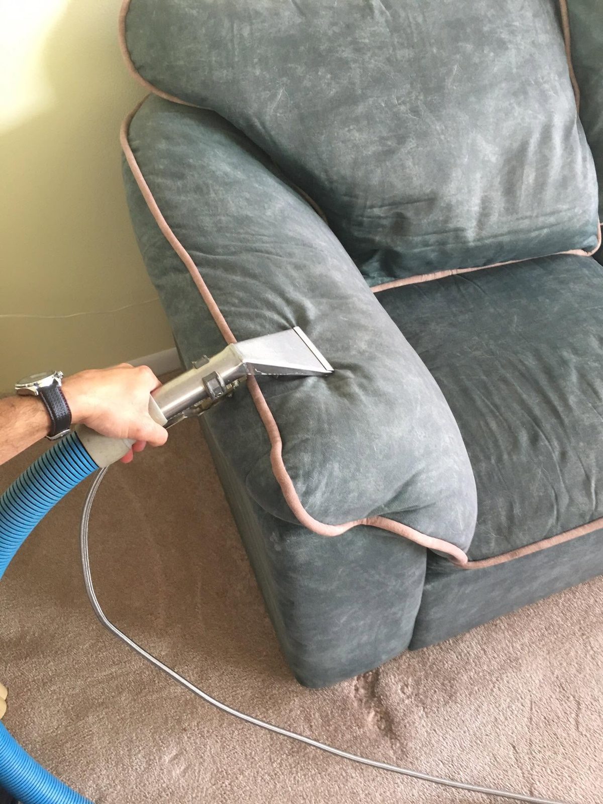 Sofa cushions being deep cleaned
